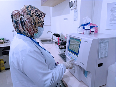 Wintry Mountain Landscape